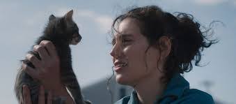 Helena Avila's Instagram, Twitter & Facebook