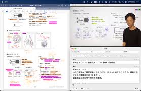 Anki 使い方