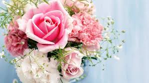 Cara menanam mawar rambat (climbing rose). Gambar Bunga Mawar Pink Dalam Rangkaian Pink Rose Bouquet Beautiful Flowers Beautiful Roses