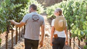 'i'm imagining what it would be like if you were here with me right now…' How Winemakers Can Still Find Success In Napa Sevenfifty Daily