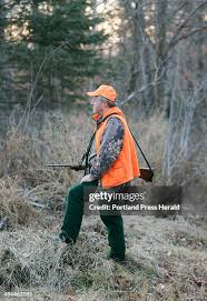 119 Lowell Wood Stock Photos, High-Res Pictures, and Images