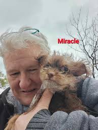 Hello, my wife Megan Goldy and I sent you the application and and email  under your main site. We hope to hear from you. We are very excited to  expand our family