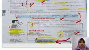 Jawapan Buku Sains Proses Skill Sains Tingkatan 1 Mweosmalay Cuitan Dokter