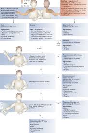 Image result for Shoulder History