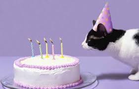 Menggunakan bahasa inggris sebagai ucapan selamat ulang tahun bisa lho membuat anda keren di depan kakak. Kumpulan Ucapan Ulang Tahun Untuk Adik Kakak Saudara Terbaik Outerbloom