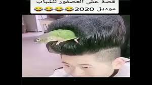 لا تفوتك قصة عش العصفور 19 اضحك مع افضل المقاطع المضحكة Funny Incoming Call Screenshot Incoming Call