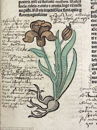 Rare 500 Year Old Illustrated Medical Book Shows Doctors Analysing Urine To Diagnose Illness And Brushing Lice From A Boy S Hair Medieval Books Medieval Art Illustration
