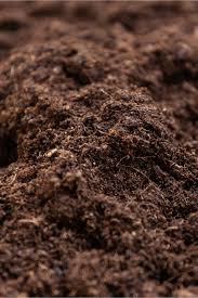 We did not find results for: How To Make Compost Tea The Best All Natural Free Fertilizer Around