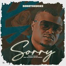 Sorry by Bobbychuks