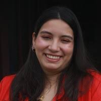 100+ "Acero-diaz" profiles