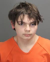 Oxford High teen shooter charged as adult for 1st degree murders, terrorism 