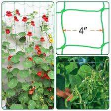 Pin On Plant Support Structures