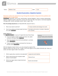 Check spelling or type a new query. Copy Of Digestive System Student Exploration Digestive System Directions Follow Studocu