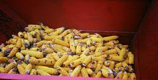 Doresti sa salvezi aceste criterii de cautare? Vanzari Agricole Dej Home Facebook