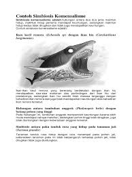 We did not find results for: Contoh Simbiosis Komensalisme