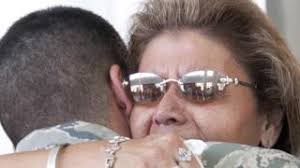 Land Systems At Home