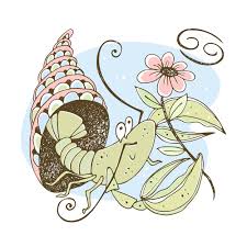 Everything to know about the heartfelt water sign. Zodiac Sign Cancer Cute Crustacean With A Flower 1638036 Vector Art At Vecteezy