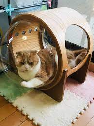 宇宙船アルファ ペット用品の通販サイト ペピイ peppy ペット用品 猫用ベッド ペット