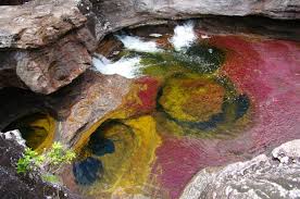 Check spelling or type a new query. 10 Things To Know Before Visiting Cano Cristales Colombia