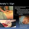This is a great anatomy reference and resource for you to use in a multitude of application. Https Encrypted Tbn0 Gstatic Com Images Q Tbn And9gcsptwzbbc6p8wpoqycrdkvbbml1rnlvhgrzznkt24mz8vsfumdo Usqp Cau