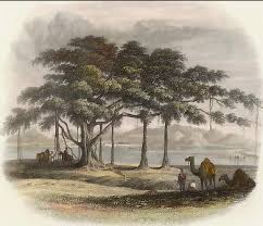 Old and antique prints | India