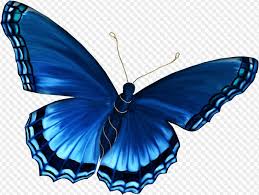 Free for commercial use ✓ no attribution required . Clipart Png Psd Beautiful Butterfly Download
