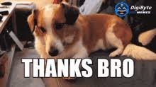 Say thank you in return for a good deed for you, and you will receive more goodness in your address. Funny Thank You Meme Gifs Tenor