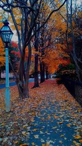 Sanjay Sharma On Twitter My Favourite Colour Is October Unknown Herbst Bilder Herbstbilder Bilder