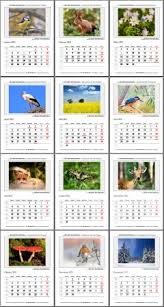 Dieser kalender ist in 8 verschiedenen farben erhältlich. Monatskalender 2021 Als Pdf Kostenlos Herunterladen Und Ausdrucken