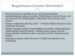 Jika kanser mula dikesan, ia akan mengganggu fungsi seseorang untuk makan bercakap, bernafas, menelan dan menanggung halitosis atau nafas berbau. 6 4 Isu Pembahagian Sel Terhadap Kesihatan Manusia Converted Flip Ebook Pages 1 32 Anyflip Anyflip