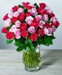 Ftd®, a premier provider of beautiful floral arrangements & flower bouquets since 1910. Mother S Day 2017 Flowers Best Deals From Next Debenhams Waitrose And More Birmingham Live