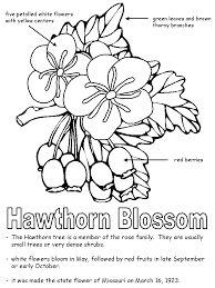 Great for interactive notebooks and state reports. Hawthorn Blossom With Labels