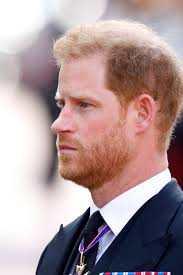 A daft diagnosis for Harry the Hugless