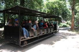 Check spelling or type a new query. Zoo Melaka Ayer Keroh