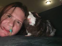 Words of wisdom from Ted the guinea pig.