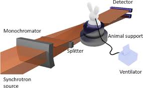 Synchrotron radiation (sr) occurs when a charge traveling at a relativistic speed in a synchrotron changes its direction of movement. Functional Lung Imaging With Synchrotron Radiation Methods And Preclinical Applications Physica Medica European Journal Of Medical Physics