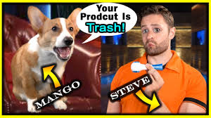 Check spelling or type a new query. Corgi Makes Me A Shark Tank Offer Youtube