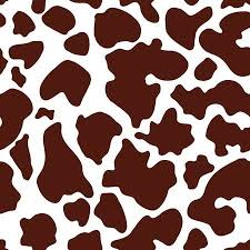 Pin On Cow