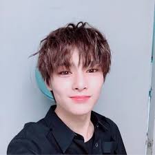 Pin On I N Stray Kids