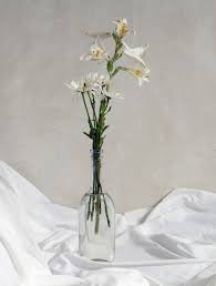 Imaginemos que aumenta la demanda de la mercadería debido a una coyuntura determinada. Glass Vase Transylvania Beyond