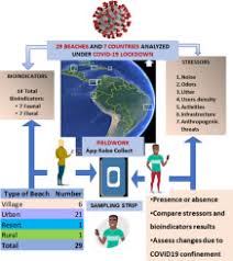 Donde ir santa catarina, santa catarina. How Does The Beach Ecosystem Change Without Tourists During Covid 19 Lockdown Sciencedirect