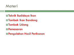 More images for ikan bandeng contoh hasil perikanan » Karakteristik Ikan Tambak Ppt Download