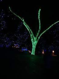 Pin On Seasonal Lighting Ideas