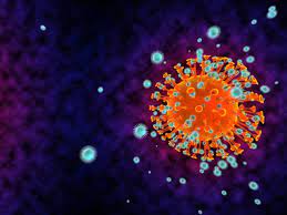 衞生署公布，本港今日（14 日）新增 3 宗輸入確診個案，均帶有 l452r 變種病毒株；個案分別來自非洲的納米比亞、加納，以及歐洲的塞浦路斯，2 男 1 女患者年齡由 37 至 53 歲。至今本港累計個案有 11955 宗，另外，今日有少於 5 宗初步確診。 æœ¬æ¸¯ä»Šæ—¥ç„¡æ–°å¢žæ–°åž‹è‚ºç‚Žç¢ºè¨ºåˆæ­¥ç¢ºè¨ºå°'æ–¼5å®— Rthk