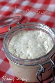 Levain Maison Comment Reussir La Naissance Du Levain Jeune Levain Maison Levain Recettes De Cuisine