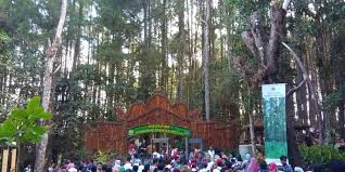 Jenis fasilitas yang disediakan untuk pengunjung antara lain restoran, kolam. Ini Hutan Pinus Bantul Yang Disebut Presiden Jokowi Instagramable Halaman All Kompas Com
