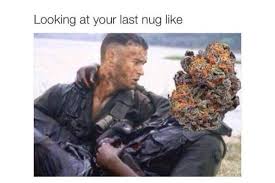 Amongst a bunch of other strains, delta is fast becoming the most dangerous to combat. 98 Funny Weed Memes For True Stoners Herb