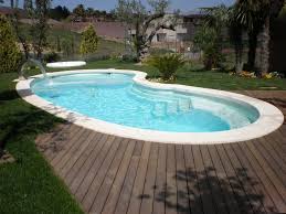 Como Debe Ser Tu Piscina Ideal Piscines Mon De Pra