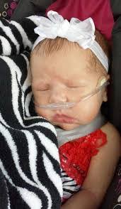 Terry Schamp's Instagram, Twitter & Facebook