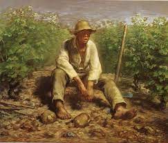 jean francois millet vineyard labourer resting st louis art museum coloriage flamant rose